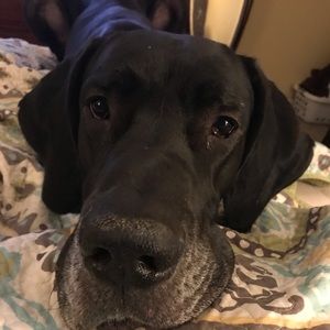 Meet your Posher, Jaime